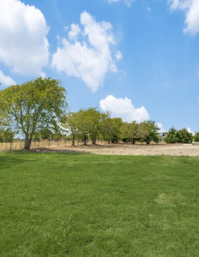 A wide-open grassy field with sporadic trees under a clear blue sky.